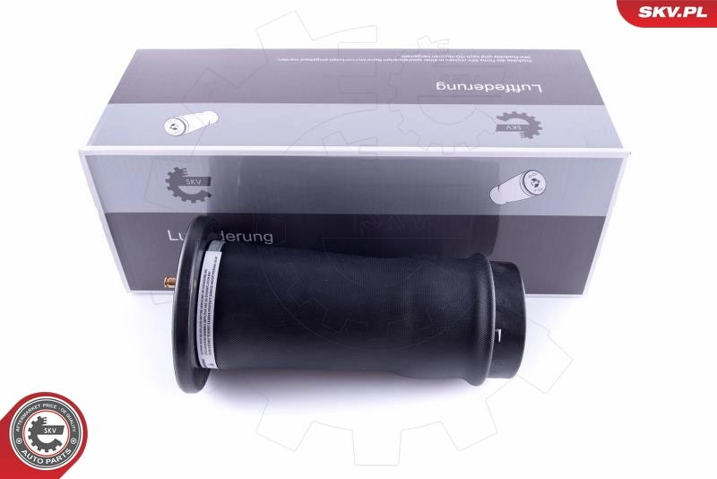 Air Spring, suspension